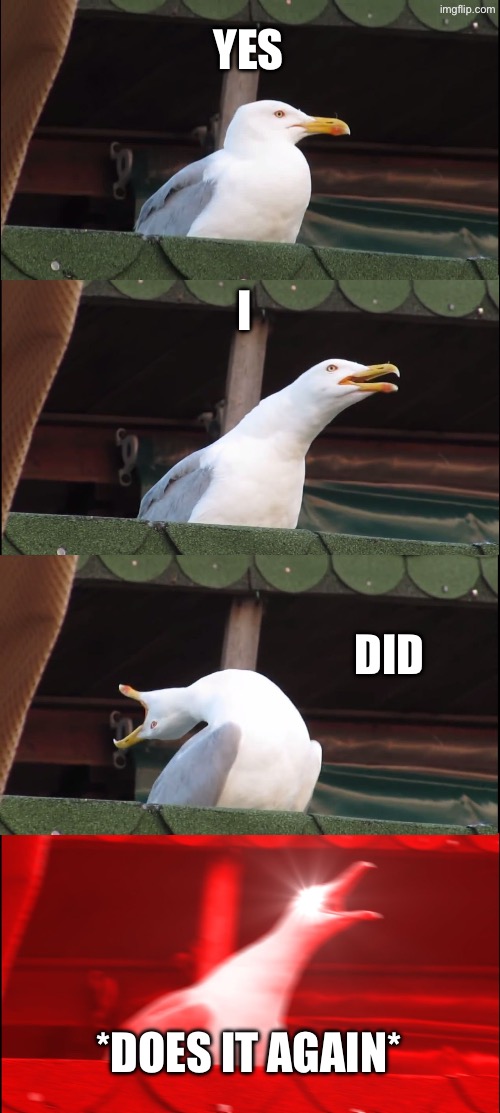 Inhaling Seagull Meme | YES I DID *DOES IT AGAIN* | image tagged in memes,inhaling seagull | made w/ Imgflip meme maker