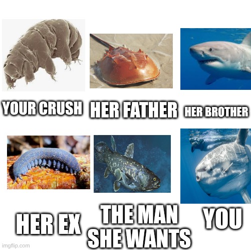 your crush but animals that survived mass extinctions | HER FATHER; YOUR CRUSH; HER BROTHER; HER EX; THE MAN
SHE WANTS; YOU | image tagged in make your own meme | made w/ Imgflip meme maker