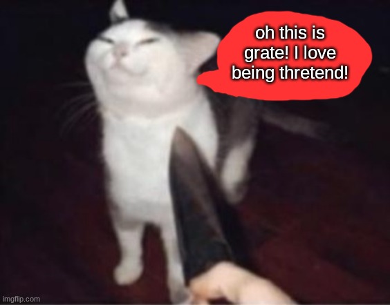 smug cat and the knife | oh this is grate! I love being thretend! | image tagged in smug cat and the knife | made w/ Imgflip meme maker
