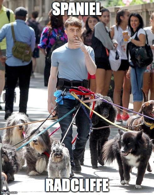 What do you get when you mix Harry Potter with a pack of dogs?
