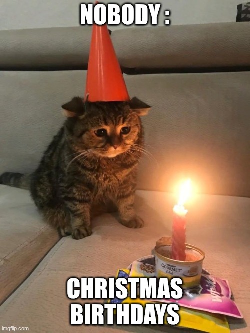 sorry Christmas birthdays | NOBODY :; CHRISTMAS BIRTHDAYS | image tagged in sad birthday cat | made w/ Imgflip meme maker