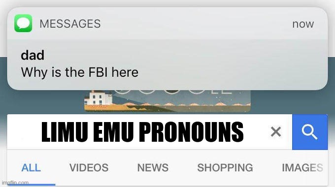 why is the FBI here? | LIMU EMU PRONOUNS | image tagged in why is the fbi here | made w/ Imgflip meme maker