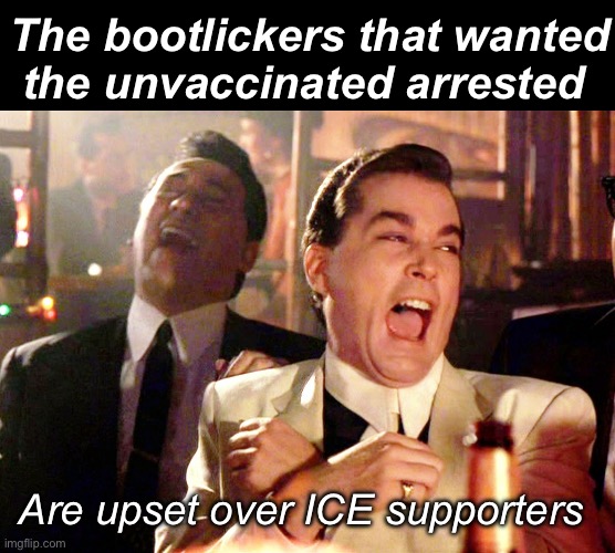 Irony | The bootlickers that wanted the unvaccinated arrested; Are upset over ICE supporters | image tagged in memes,good fellas hilarious,politics lol,derp,stupid people | made w/ Imgflip meme maker