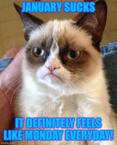 Even Grumpy Cat hates January | JANUARY SUCKS; IT DEFINITELY FEELS LIKE MONDAY EVERYDAY! | image tagged in memes,grumpy cat,january sucks,january blues,january,mondays | made w/ Imgflip meme maker