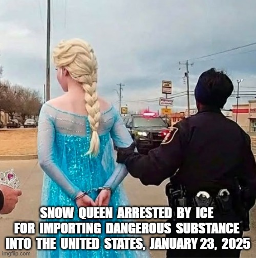 ICE on Aliens | SNOW  QUEEN  ARRESTED  BY  ICE  FOR  IMPORTING  DANGEROUS  SUBSTANCE  INTO  THE  UNITED  STATES,  JANUARY 23,  2025 | image tagged in cold weather | made w/ Imgflip meme maker
