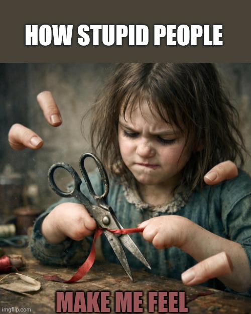 Agreed | HOW STUPID PEOPLE; MAKE ME FEEL | image tagged in girl with no fingers trying to use scissors | made w/ Imgflip meme maker