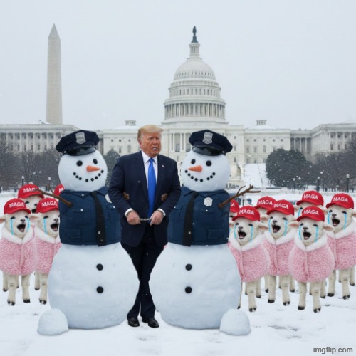 WINNING! | image tagged in trump,maga,jeffrey epstein | made w/ Imgflip meme maker