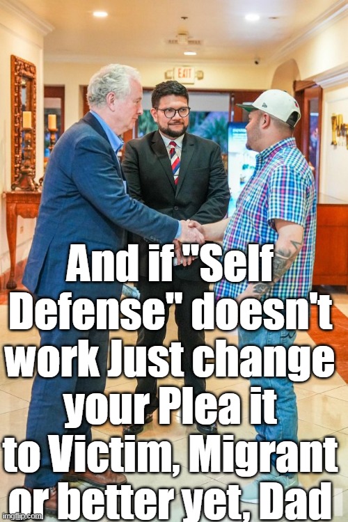 And if "Self Defense" doesn't work Just change your Plea it to Victim, Migrant or better yet, Dad | made w/ Imgflip meme maker