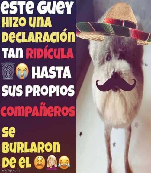 He made a statement so Mexican | image tagged in he made a statement so mexican | made w/ Imgflip meme maker