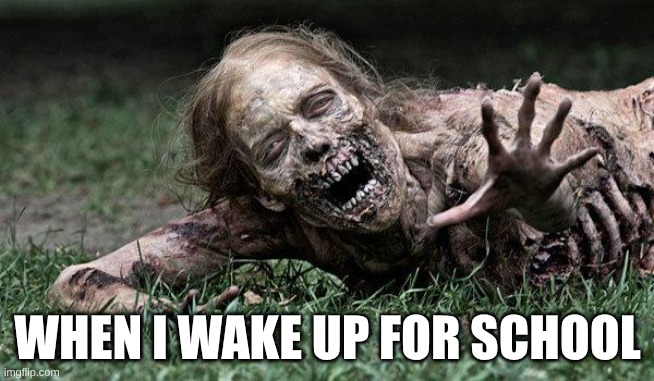 Walking Dead Zombie | WHEN I WAKE UP FOR SCHOOL | image tagged in walking dead zombie | made w/ Imgflip meme maker