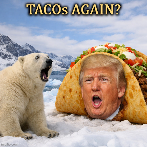 Tacos in Greenland? | TACOs AGAIN? | image tagged in greenland polar bear trump taco always chickens out,trump,greenland,polar bear,taco,trump always chickens out | made w/ Imgflip meme maker
