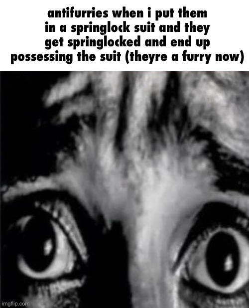 mfw when the fog finally arrives lmao | antifurries when i put them in a springlock suit and they get springlocked and end up possessing the suit (theyre a furry now) | image tagged in mfw when the fog finally arrives lmao | made w/ Imgflip meme maker