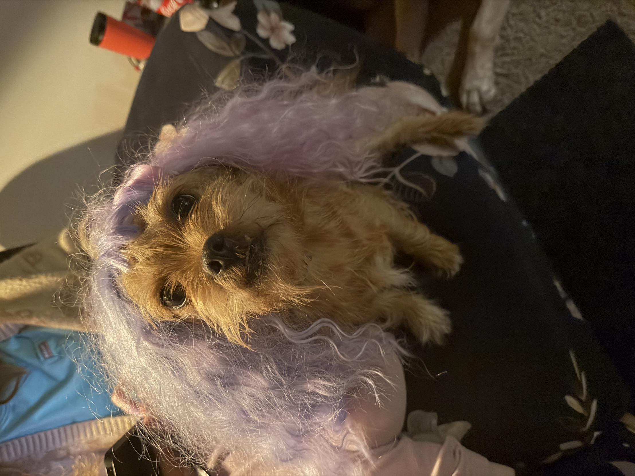 Looking pretty good Blank Meme Template