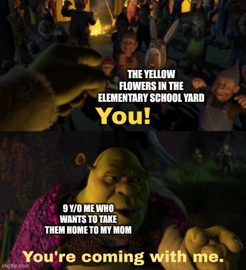 You! You're coming with me | THE YELLOW FLOWERS IN THE ELEMENTARY SCHOOL YARD; 9 Y/O ME WHO WANTS TO TAKE THEM HOME TO MY MOM | image tagged in you you're coming with me | made w/ Imgflip meme maker