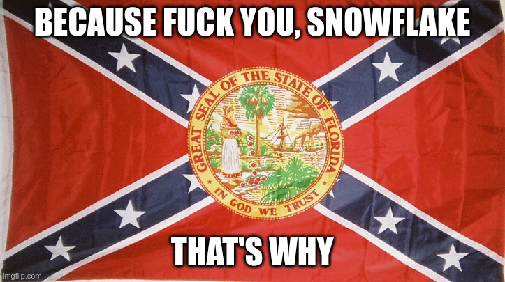 Matt Dillon Confederate Florida Flag Blank Meme Template