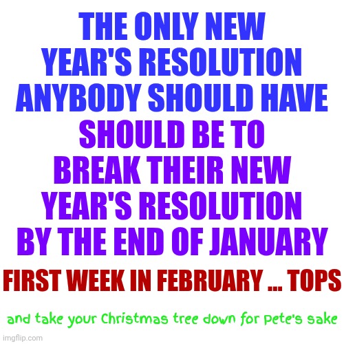 New Year's Resolutions | THE ONLY NEW YEAR'S RESOLUTION ANYBODY SHOULD HAVE; SHOULD BE TO BREAK THEIR NEW YEAR'S RESOLUTION BY THE END OF JANUARY; FIRST WEEK IN FEBRUARY ... TOPS; and take your Christmas tree down for Pete's sake | image tagged in memes,new years resolutions,christmas decorations,let it go,happy new year,memories | made w/ Imgflip meme maker