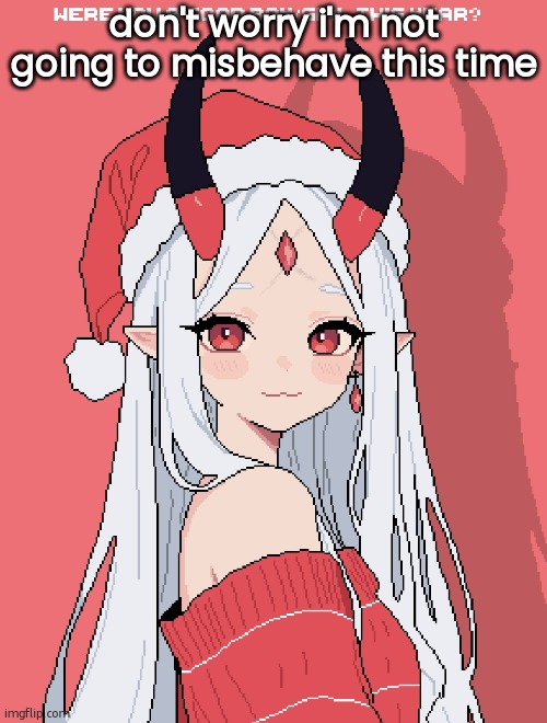 Mrs Claus | don't worry i'm not going to misbehave this time | image tagged in mrs claus | made w/ Imgflip meme maker