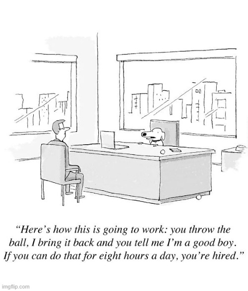 Dog Hire | image tagged in comics | made w/ Imgflip meme maker