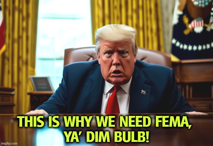 "If we could get FEMA to only dig out rich peoples' houses." No, Donald. | THIS IS WHY WE NEED FEMA, 
YA' DIM BULB! | image tagged in trump,fema,disaster,snow,blizzard,storm | made w/ Imgflip meme maker