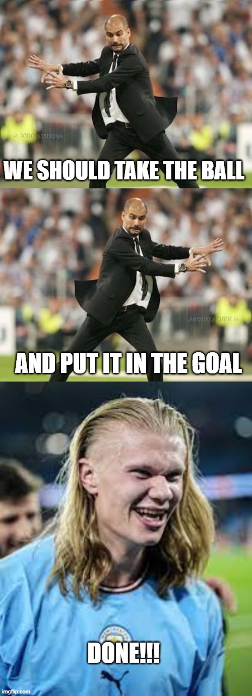 GOAL!!!!!!!!! | WE SHOULD TAKE THE BALL; AND PUT IT IN THE GOAL; DONE!!! | image tagged in erling haaland | made w/ Imgflip meme maker