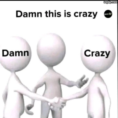 Damn this is crazy | image tagged in damn this is crazy | made w/ Imgflip meme maker