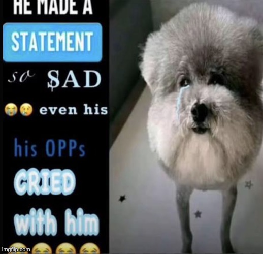 he made a statement so sad even his opps cried with him | image tagged in he made a statement so sad even his opps cried with him | made w/ Imgflip meme maker