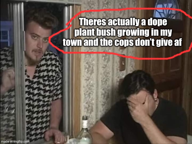 Ricki Julian | Theres actually a dope plant bush growing in my town and the cops don’t give af | image tagged in ricki julian | made w/ Imgflip meme maker