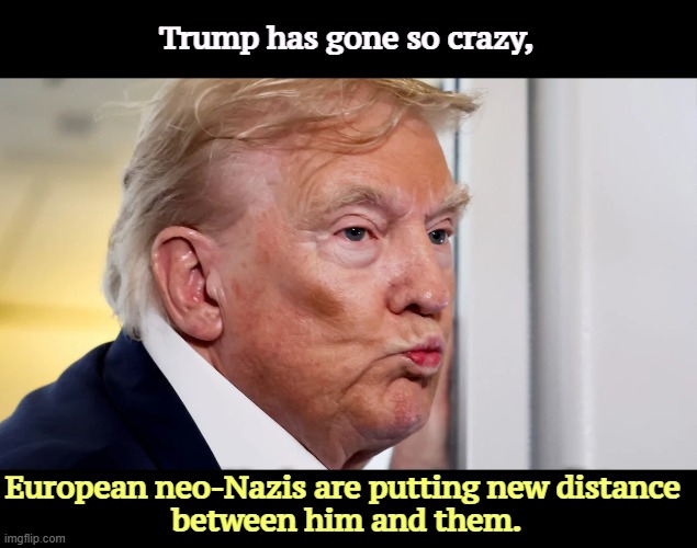Trump senile dementia crazy malignant narcissism | Trump has gone so crazy, European neo-Nazis are putting new distance 
between him and them. | image tagged in trump senile dementia crazy malignant narcissism,trump,neo-nazis,senile dementia,stroke,malignant narcissism | made w/ Imgflip meme maker