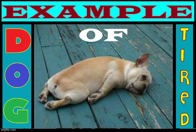 When a Dog is Truly Exhausted | image tagged in vince vance,dogs,tired,dog tired,exhausted,funny animal meme | made w/ Imgflip meme maker