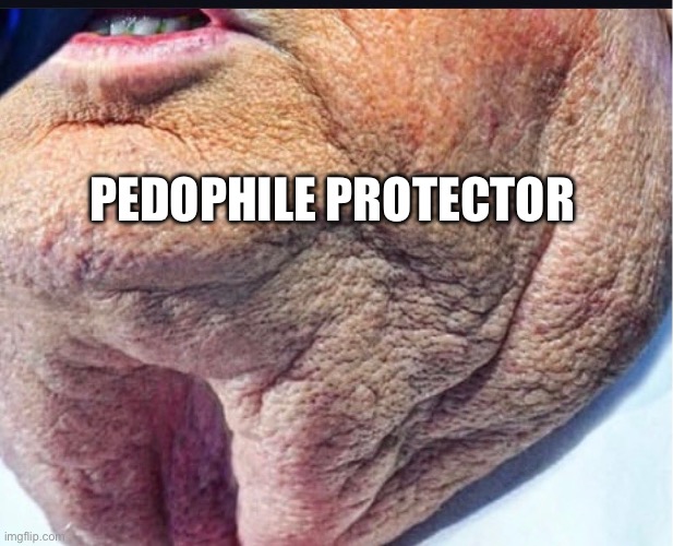 Trump Skin | PEDOPHILE PROTECTOR | image tagged in trump skin | made w/ Imgflip meme maker