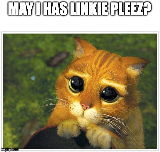 Shrek Cat Meme | MAY I HAS LINKIE PLEEZ? | image tagged in memes,shrek cat | made w/ Imgflip meme maker