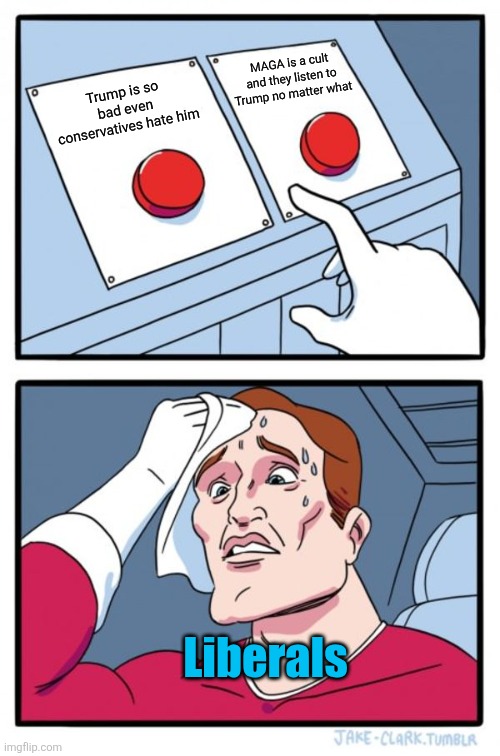 I've seen it... same thing with  Charlie Kirk | MAGA is a cult and they listen to Trump no matter what; Trump is so bad even conservatives hate him; Liberals | image tagged in memes,two buttons,donald trump,politics,liberals,confusion | made w/ Imgflip meme maker