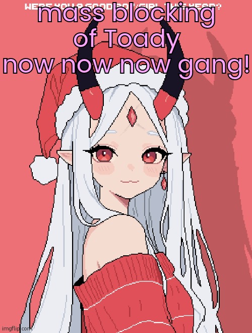 Mrs Claus | mass blocking of Toady now now now gang! | image tagged in mrs claus | made w/ Imgflip meme maker
