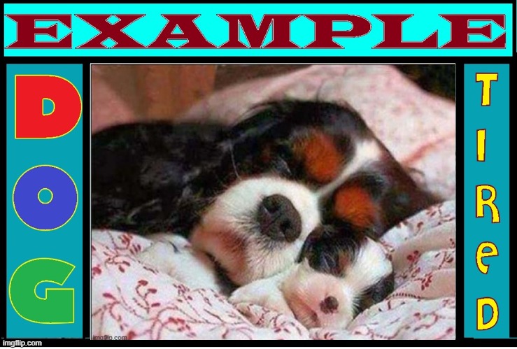 Sleeping in Heavenly Peace | image tagged in vince vance,dogs,funny animal meme,cute puppies,let sleeping dogs lie,cuteness overload | made w/ Imgflip meme maker