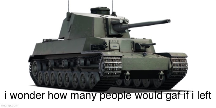 type 5 chi ri | i wonder how many people would gaf if i left | image tagged in type 5 chi ri | made w/ Imgflip meme maker