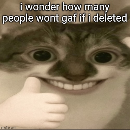bombastic side eye cat v3 | i wonder how many people wont gaf if i deleted | image tagged in bombastic side eye cat v3 | made w/ Imgflip meme maker