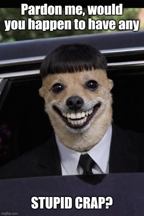 Stupider and stupider | Pardon me, would you happen to have any; STUPID CRAP? | image tagged in stupid,crap,memes,stupid memes,crappy memes,finally another stream for my stupid crappy memes | made w/ Imgflip meme maker