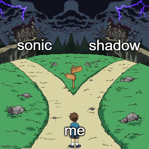 sonic or shadow | sonic; shadow; me | image tagged in two paths | made w/ Imgflip meme maker