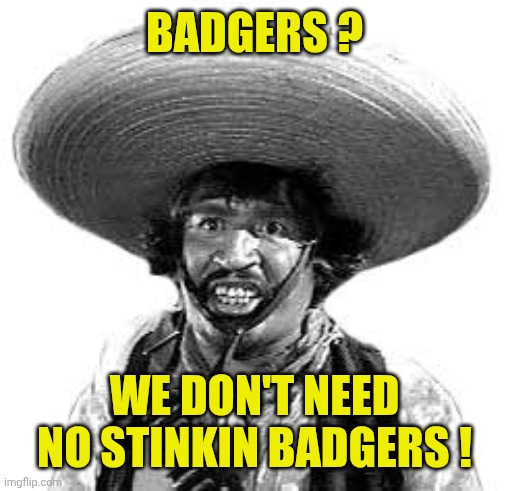 Badges we dont need no stinking badges | BADGERS ? WE DON'T NEED NO STINKIN BADGERS ! | image tagged in badges we dont need no stinking badges | made w/ Imgflip meme maker