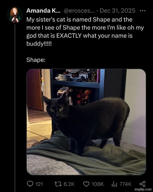 i love shape | made w/ Imgflip meme maker