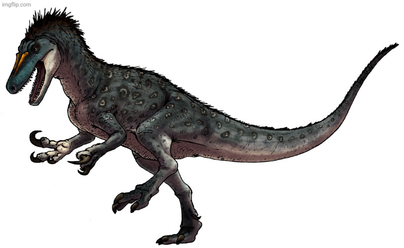 Maip Macrothorax | image tagged in maip macrothorax | made w/ Imgflip meme maker