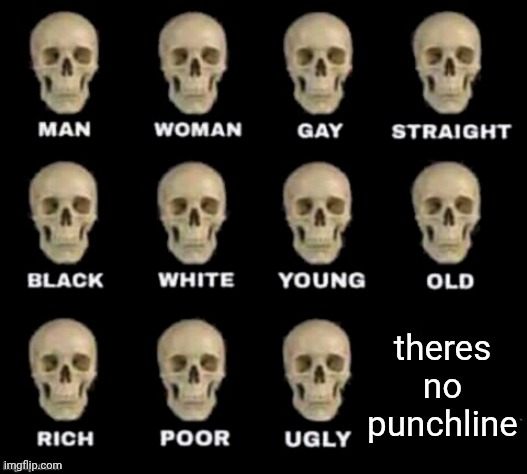 idiot skull | theres no punchline | image tagged in idiot skull | made w/ Imgflip meme maker