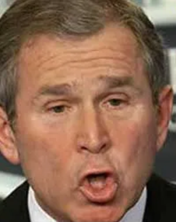 dubya Blank Meme Template