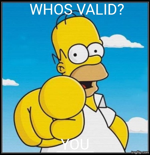 Homer Simpson Ultimate | WHOS VALID? YOU | image tagged in homer simpson ultimate | made w/ Imgflip meme maker