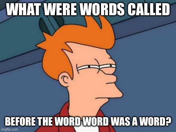 Futurama Fry Meme | WHAT WERE WORDS CALLED; BEFORE THE WORD WORD WAS A WORD? | image tagged in memes,futurama fry | made w/ Imgflip meme maker