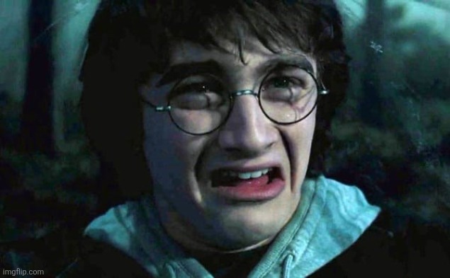 Harry Potter Disgusted | image tagged in harry potter disgusted | made w/ Imgflip meme maker