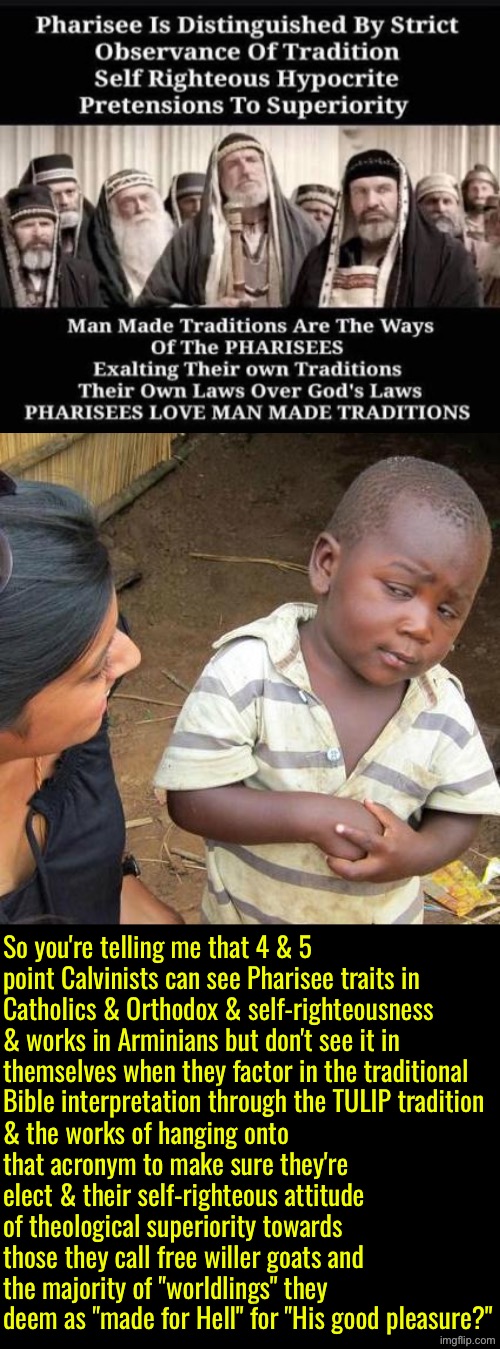 They are no less deceived than other Pharisees but blind as bats to it. Plus they're meaner. | So you're telling me that 4 & 5 point Calvinists can see Pharisee traits in Catholics & Orthodox & self-righteousness & works in Arminians but don't see it in themselves when they factor in the traditional Bible interpretation through the TULIP tradition; & the works of hanging onto that acronym to make sure they're elect & their self-righteous attitude of theological superiority towards those they call free willer goats and the majority of "worldlings" they deem as "made for Hell" for "His good pleasure?" | image tagged in third world skeptical kid,calvinism,calvinist memes,reformed theology,pharisees,blind as bats | made w/ Imgflip meme maker