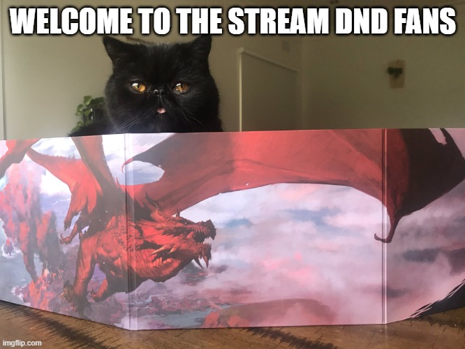 Welcome, adventurers | WELCOME TO THE STREAM DND FANS | image tagged in dndcat | made w/ Imgflip meme maker