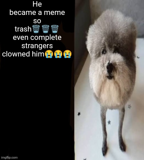 he made a statement blank | He became a meme so trash🗑🗑🗑 even complete strangers clowned him😭😭😭 | image tagged in he made a statement blank | made w/ Imgflip meme maker