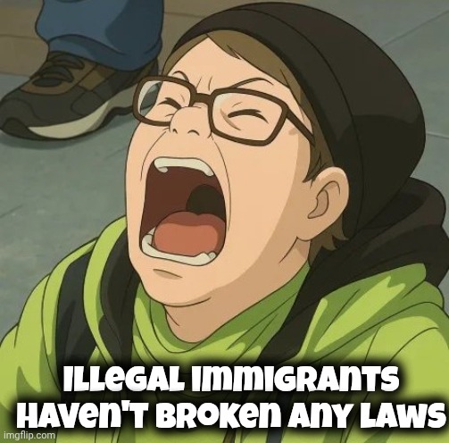 Looney Toons Liberals | Illegal immigrants haven't broken any laws | image tagged in looney toons liberals | made w/ Imgflip meme maker